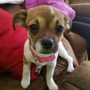 Meet your Posher, Jessica